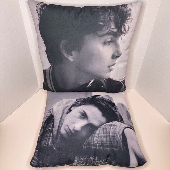 Timothée Chalamet Fan Bundle Decorative Pillows w/ Book Chalamania (Bx 21) - Picture 2 of 8